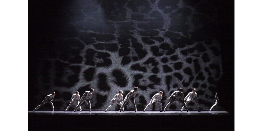 „Adam is“ von Aszure Barton