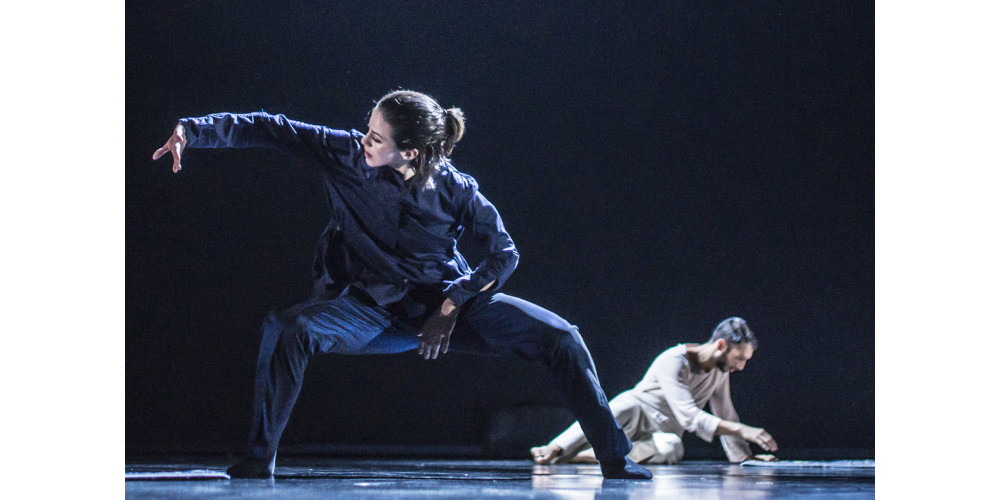 „Loops“ von Yuki Mori