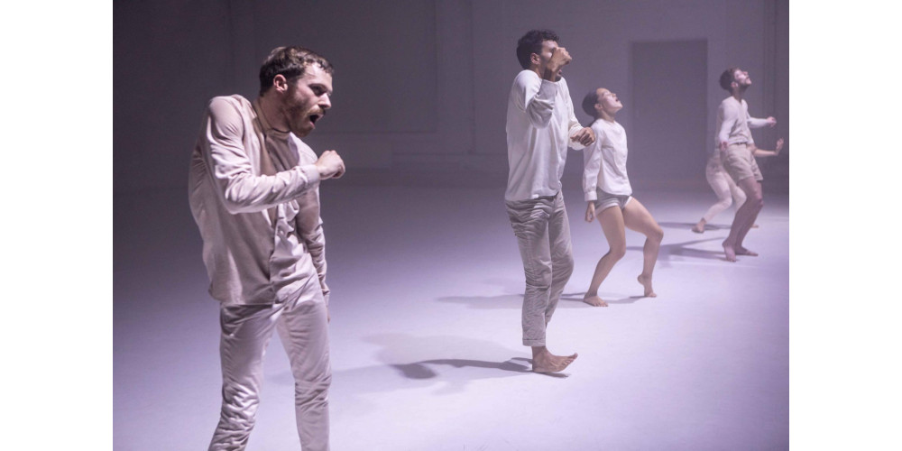 „Boids“ von Moritz Ostruschnjak