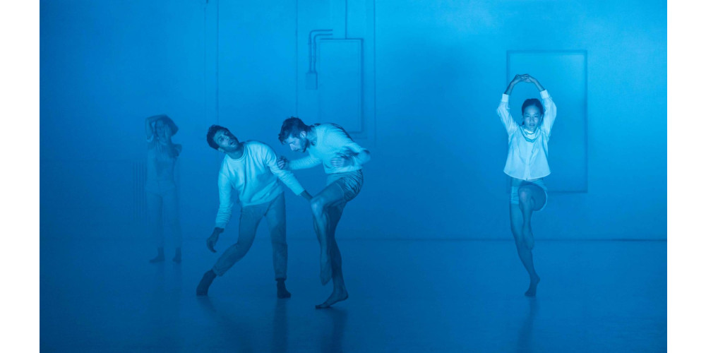 „Boids“ von Moritz Ostruschnjak