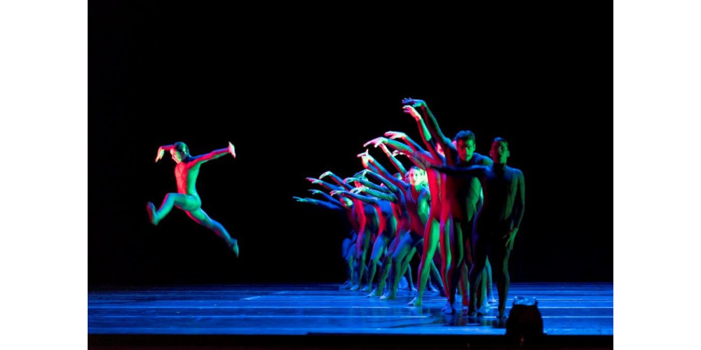 „Dürer´s Dog“ von Goyo Montero