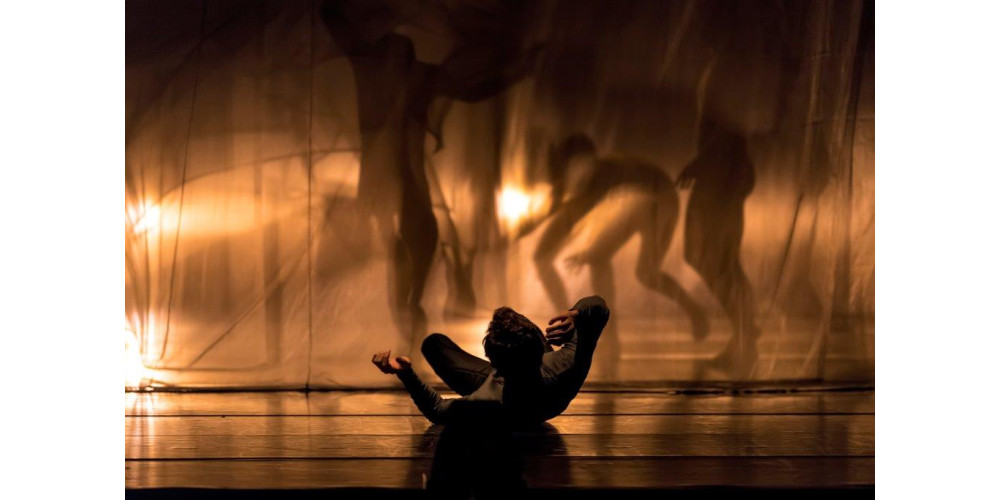 „Dürer´s Dog“ von Goyo Montero