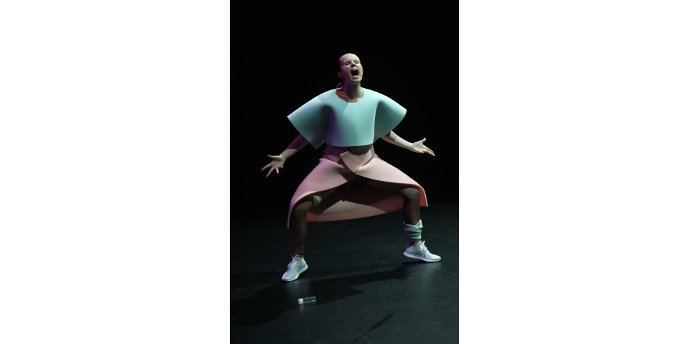 „Warrior“ von Anne-Mareike Hess