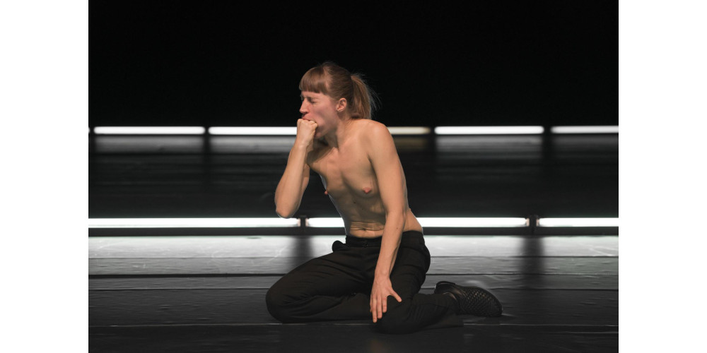 „21pornographies“ von Mette Ingvartsen