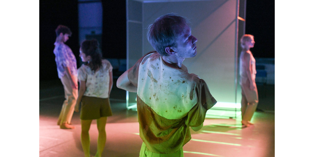 „Anthologie/Blütenlese“ von Cristina D'Alberto