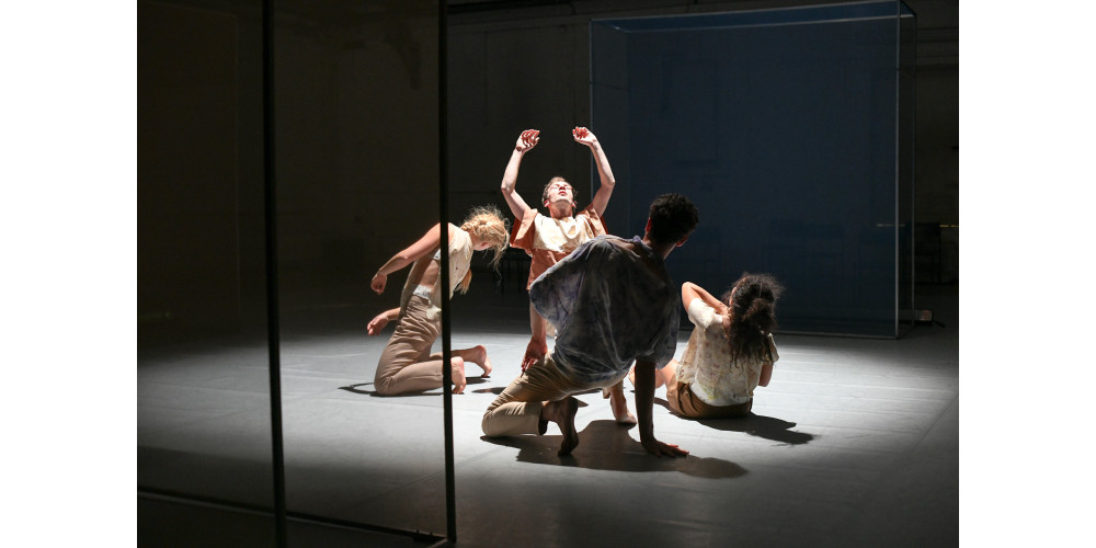 „Anthologie/Blütenlese“ von Cristina D'Alberto