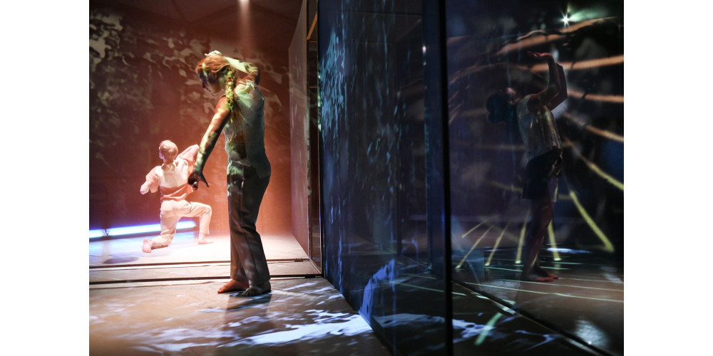 „Anthologie/Blütenlese“ von Cristina D'Alberto