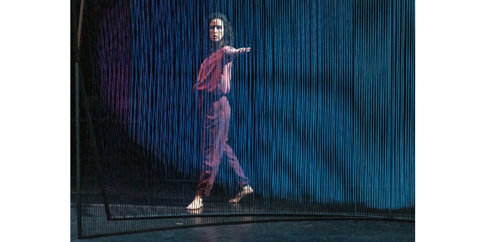 &quot;In Feldern&quot; von Stephan Herwig