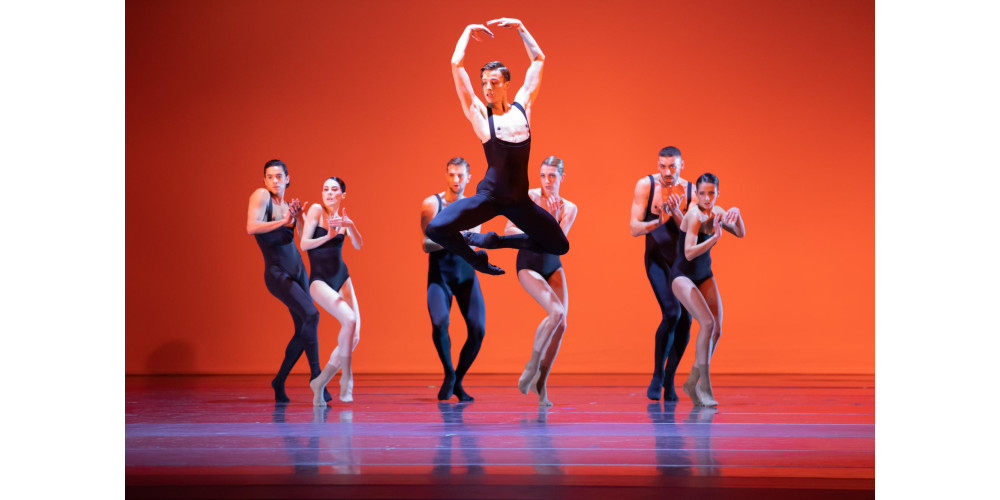 Paradigma, &quot;BedroomFolk&quot;: Ensemble