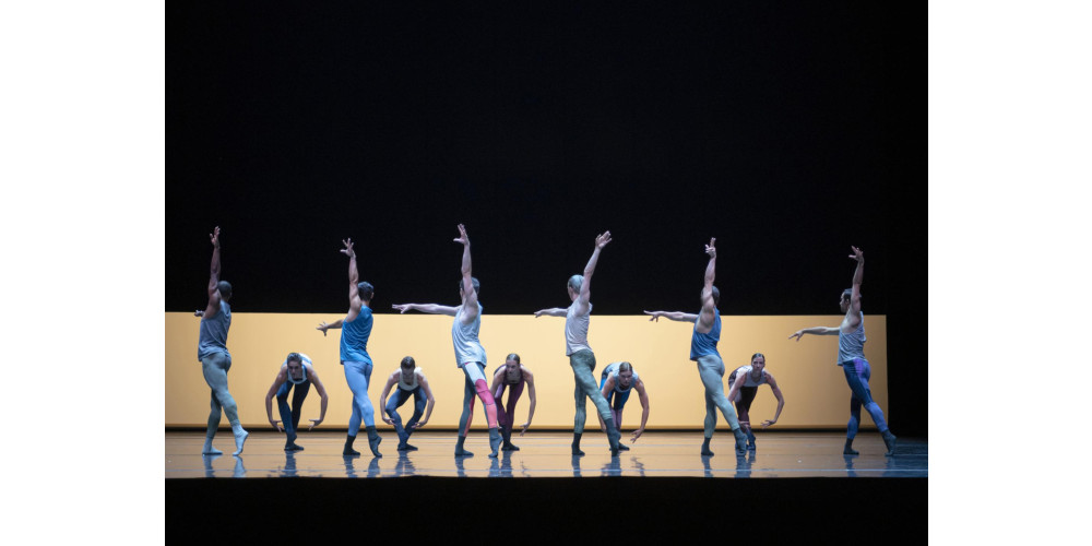 „Metamorphers“ von Jacopo Godoni