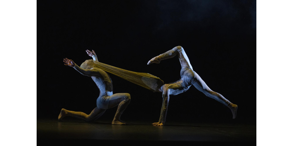 Staatstheater Nürnberg, &quot;Narrenschiff&quot; (Lucas Axel, Sofie Vervaecke)