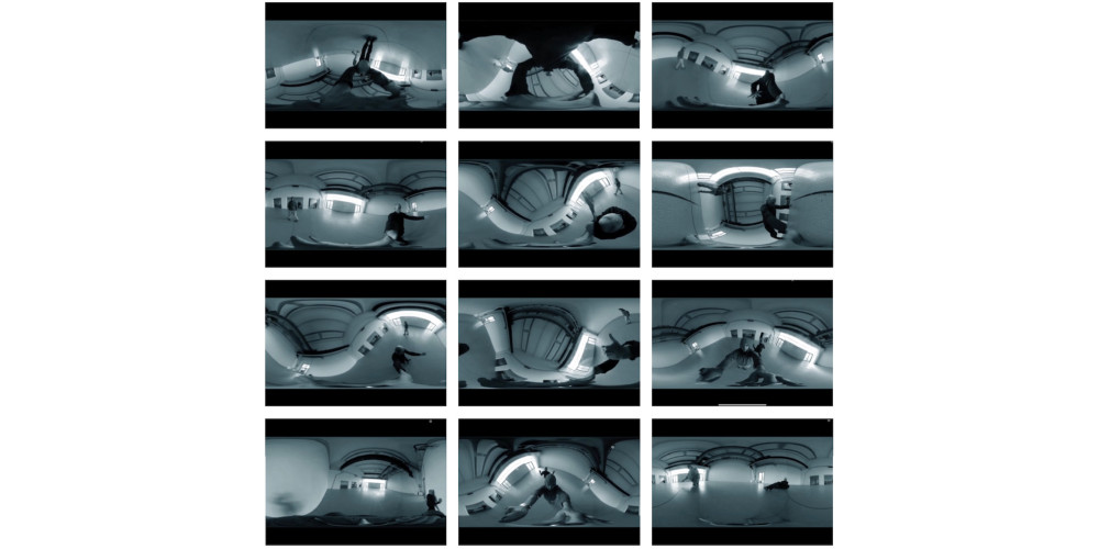 Stephanie Felber: Studien zum Vorhaben „The live and the simulated“