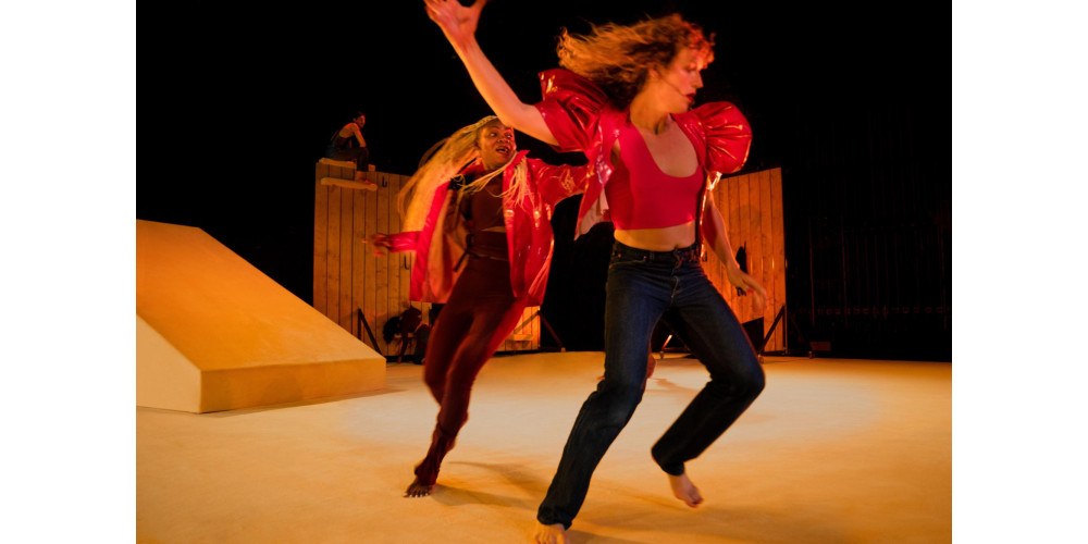 „Still Not Still“ von Ligia Lewis