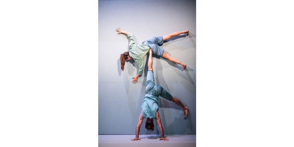 „Foreshadow“ von Alexander Vantournhout / not standing