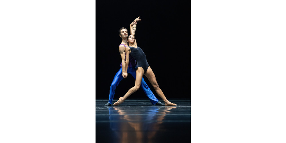 „Boîte-en-valise“: „Approximate Sonata“